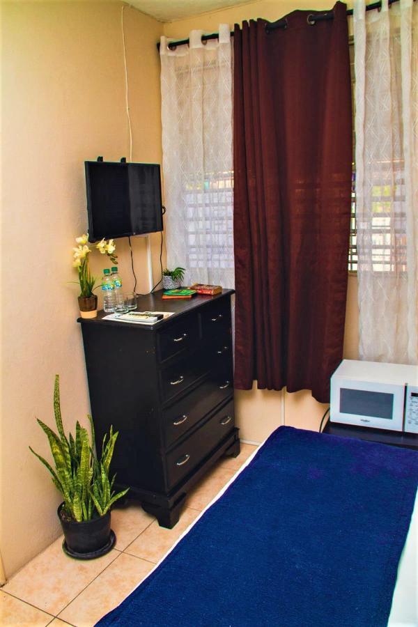 Eventuality B&B New קינגסטון מראה חיצוני תמונה
