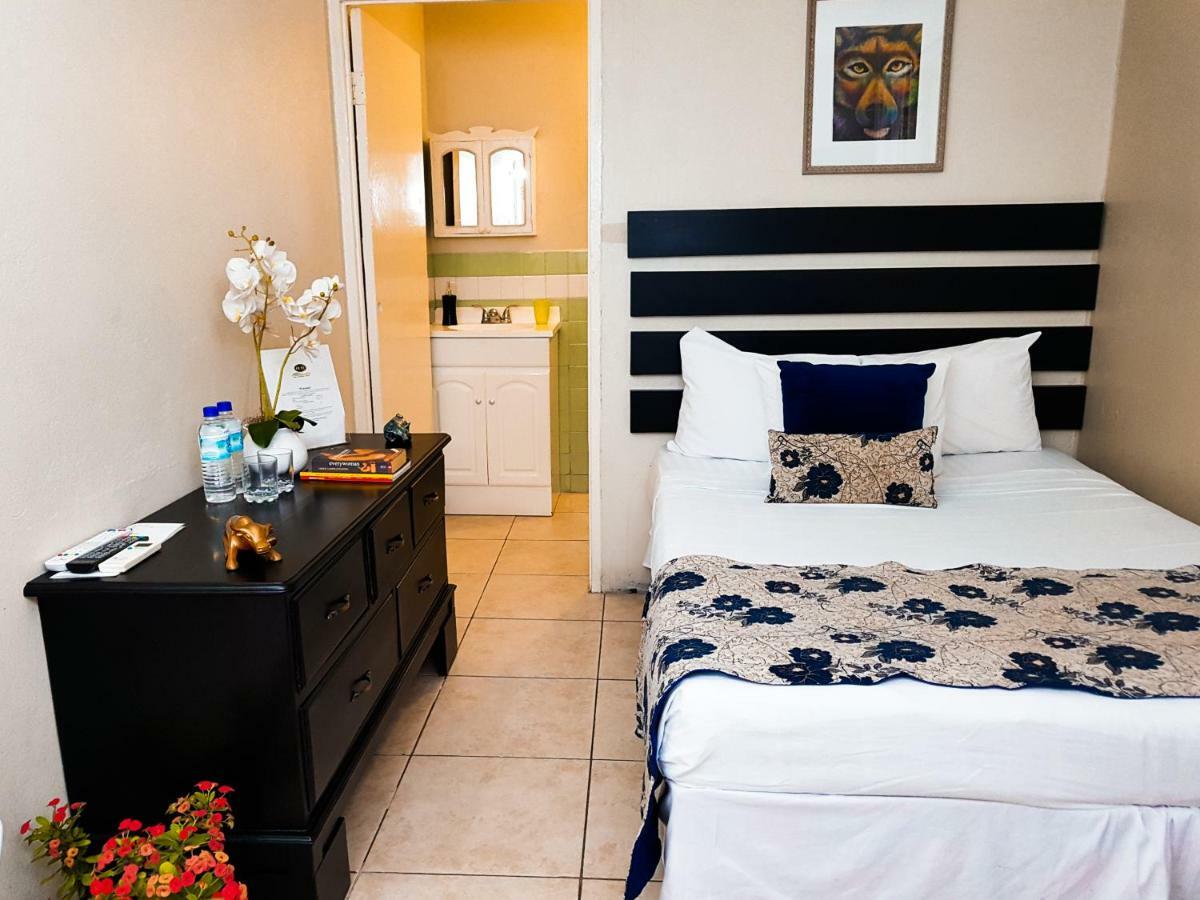 Eventuality B&B New קינגסטון מראה חיצוני תמונה